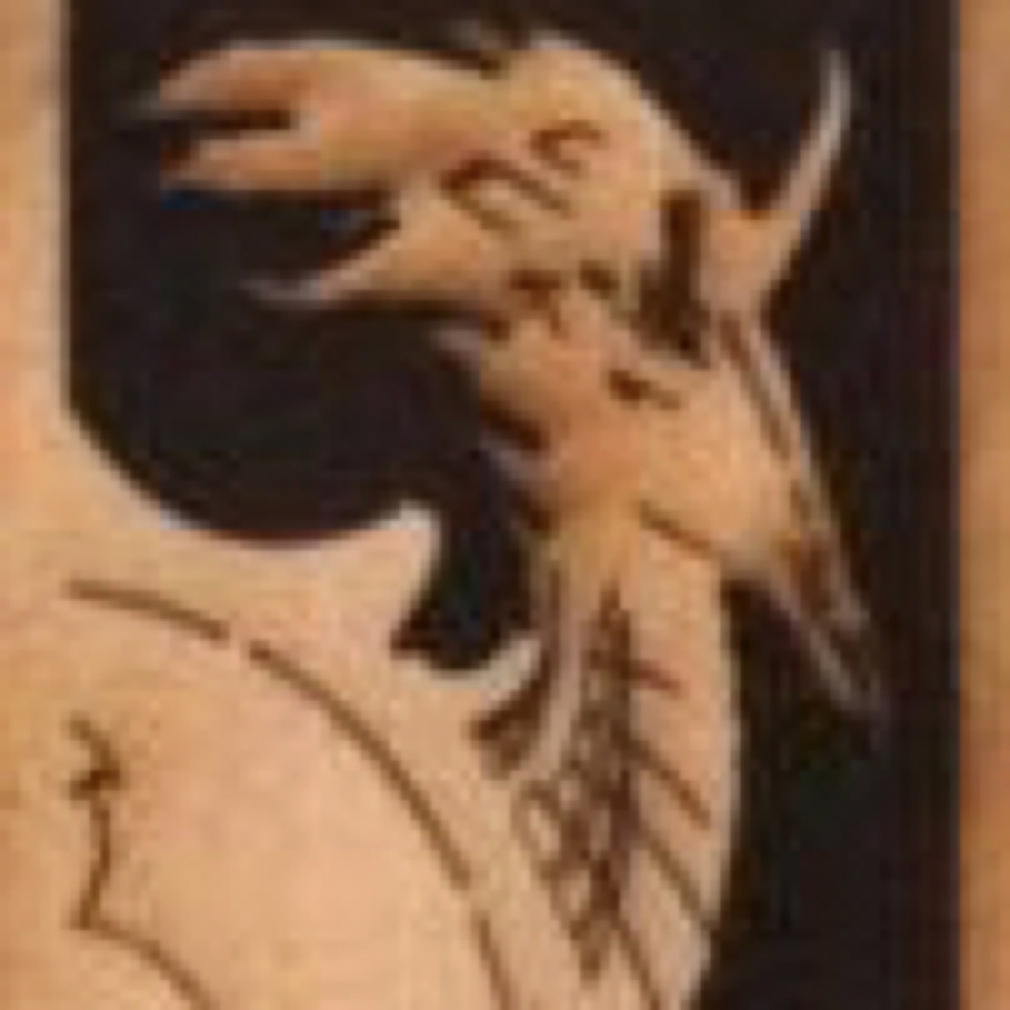 O4  The Yellow Dragon