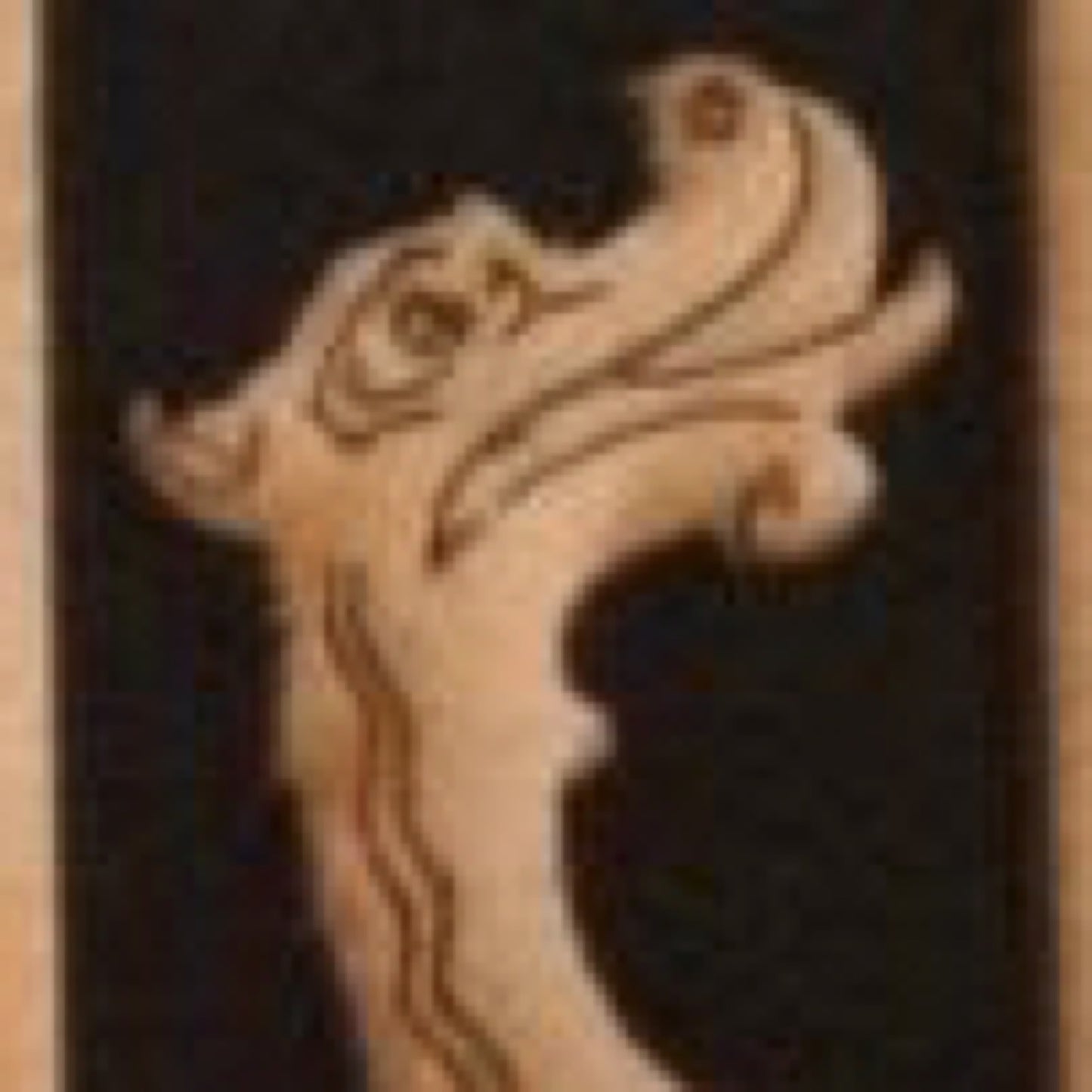 O6  The Orange Dragon